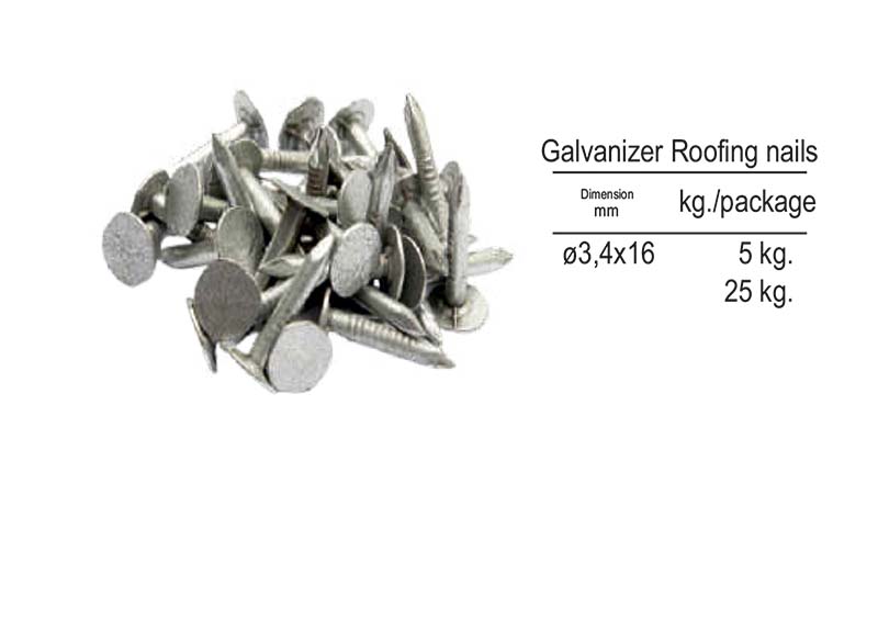 Galvanizer Roofing nails